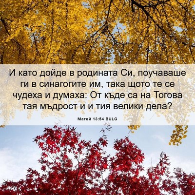 Picture 06 - Матей 13:54 BULG - И като дойде в родината Си, - Bible Verse Picture
