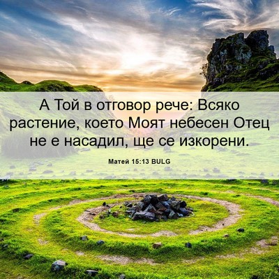 Picture 06 - Матей 15:13 BULG - А Той в отговор рече: Всяко - Bible Verse Picture