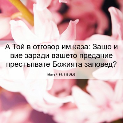 Picture 06 - Матей 15:3 BULG - А Той в отговор им каза: - Bible Verse Picture