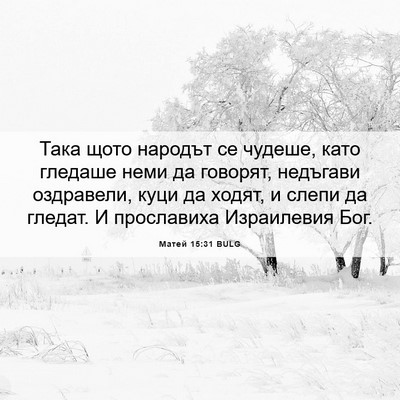 Picture 06 - Матей 15:31 BULG - Така щото народът се - Bible Verse Picture