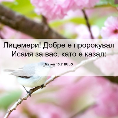 Picture 06 - Матей 15:7 BULG - Лицемери! Добре е - Bible Verse Picture