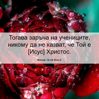 Picture 06 - Матей 16:20 BULG - Тогава заръча на - Bible Verse Picture