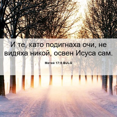 Picture 06 - Матей 17:8 BULG - И те, като подигнаха очи, не - Bible Verse Picture