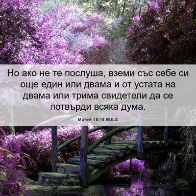 Picture 06 - Матей 18:16 BULG - Но ако не те послуша, вземи - Bible Verse Picture