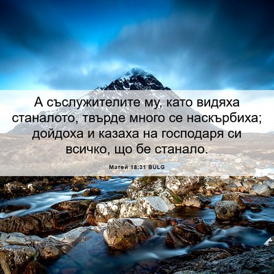 Picture 06 - Матей 18:31 BULG - А съслужителите му, като - Bible Verse Picture