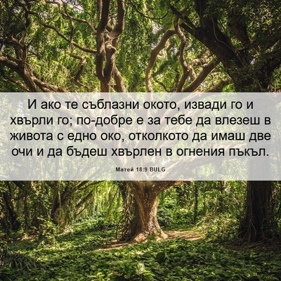 Picture 06 - Матей 18:9 BULG - И ако те съблазни окото, - Bible Verse Picture