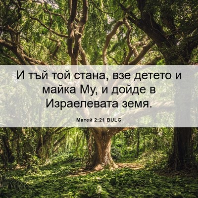 Picture 06 - Матей 2:21 BULG - И тъй той стана, взе детето - Bible Verse Picture