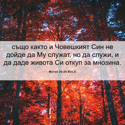 Picture 06 - Матей 20:28 BULG - също както и Човешкият Син - Bible Verse Picture