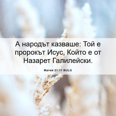 Picture 06 - Матей 21:11 BULG - А народът казваше: Той е - Bible Verse Picture