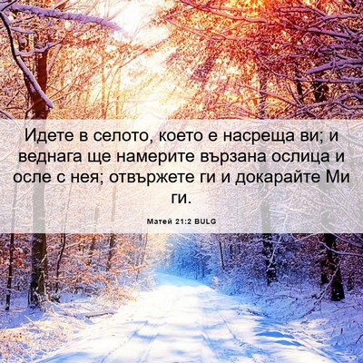Picture 06 - Матей 21:2 BULG - Идете в селото, което е - Bible Verse Picture