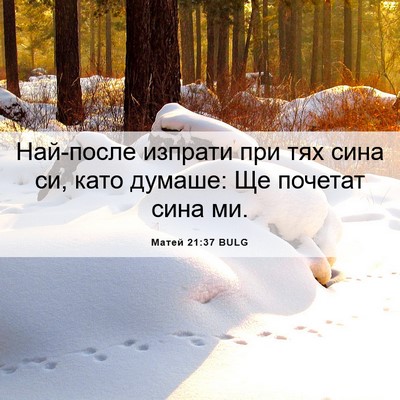Picture 06 - Матей 21:37 BULG - Най-после изпрати при тях - Bible Verse Picture