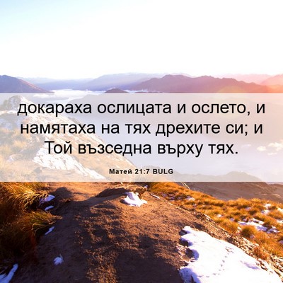 Picture 06 - Матей 21:7 BULG - докараха ослицата и - Bible Verse Picture