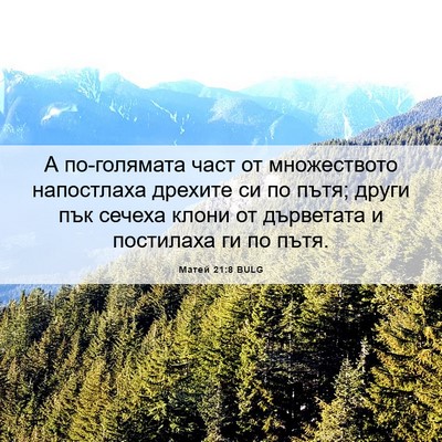 Picture 06 - Матей 21:8 BULG - А по-голямата част от - Bible Verse Picture