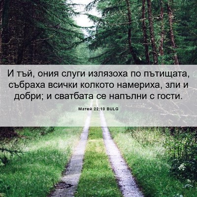Picture 06 - Матей 22:10 BULG - И тъй, ония слуги излязоха - Bible Verse Picture