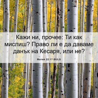 Picture 06 - Матей 22:17 BULG - Кажи ни, прочее: Ти как - Bible Verse Picture