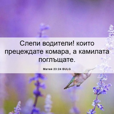 Picture 06 - Матей 23:24 BULG - Слепи водители! които - Bible Verse Picture