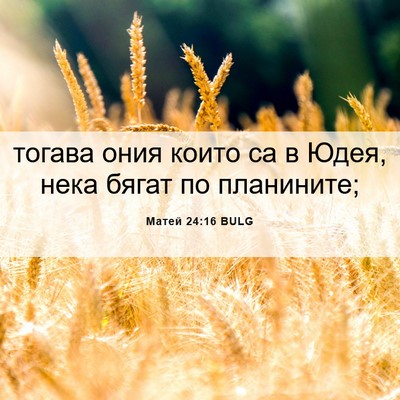 Picture 06 - Матей 24:16 BULG - тогава ония които са в - Bible Verse Picture