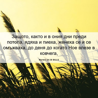 Picture 06 - Матей 24:38 BULG - Защото, както и в ония дни - Bible Verse Picture