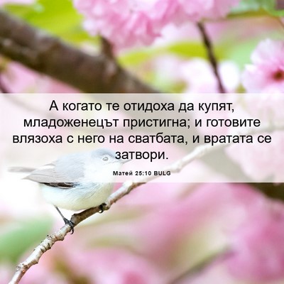 Picture 06 - Матей 25:10 BULG - А когато те отидоха да - Bible Verse Picture