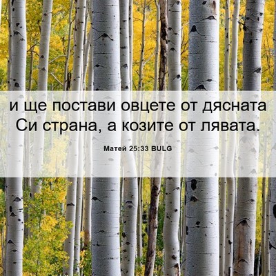 Picture 06 - Матей 25:33 BULG - и ще постави овцете от - Bible Verse Picture