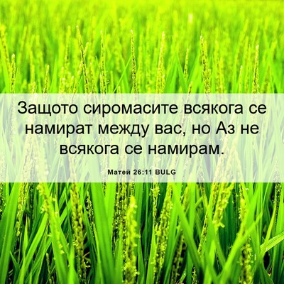 Picture 06 - Матей 26:11 BULG - Защото сиромасите всякога - Bible Verse Picture