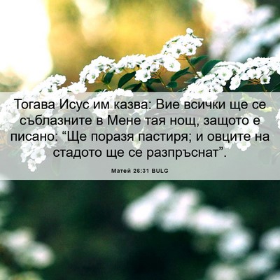 Picture 06 - Матей 26:31 BULG - Тогава Исус им казва: Вие - Bible Verse Picture