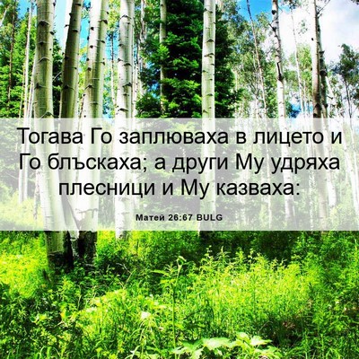 Picture 06 - Матей 26:67 BULG - Тогава Го заплюваха в - Bible Verse Picture