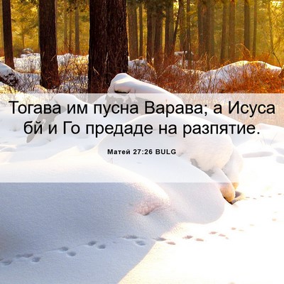 Picture 06 - Матей 27:26 BULG - Тогава им пусна Варава; а - Bible Verse Picture
