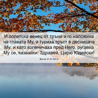 Picture 06 - Матей 27:29 BULG - И оплетоха венец от тръни и - Bible Verse Picture