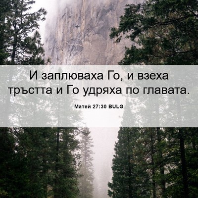 Picture 06 - Матей 27:30 BULG - И заплюваха Го, и взеха - Bible Verse Picture