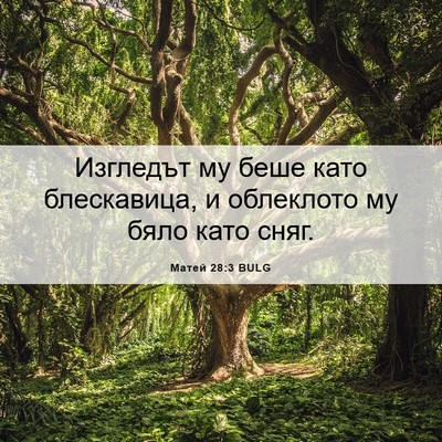 Picture 06 - Матей 28:3 BULG - Изгледът му беше като - Bible Verse Picture