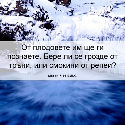 Picture 06 - Матей 7:16 BULG - От плодовете им ще ги - Bible Verse Picture