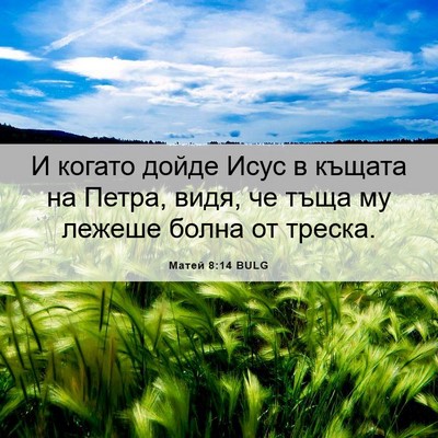 Picture 06 - Матей 8:14 BULG - И когато дойде Исус в - Bible Verse Picture