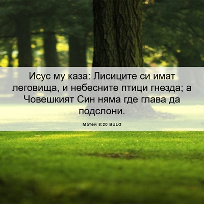 Picture 06 - Матей 8:20 BULG - Исус му каза: Лисиците си - Bible Verse Picture