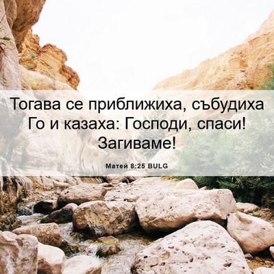 Picture 06 - Матей 8:25 BULG - Тогава се приближиха, - Bible Verse Picture