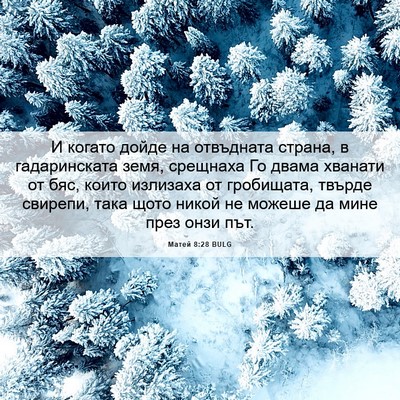 Picture 06 - Матей 8:28 BULG - И когато дойде на - Bible Verse Picture