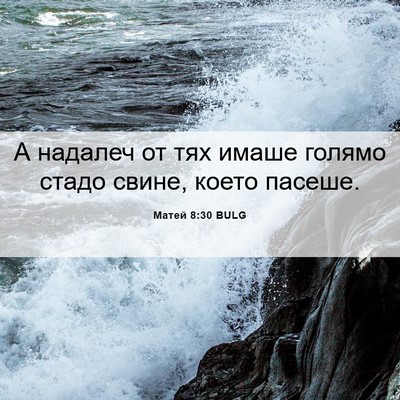 Picture 06 - Матей 8:30 BULG - А надалеч от тях имаше - Bible Verse Picture