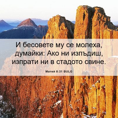 Picture 06 - Матей 8:31 BULG - И бесовете му се молеха, - Bible Verse Picture