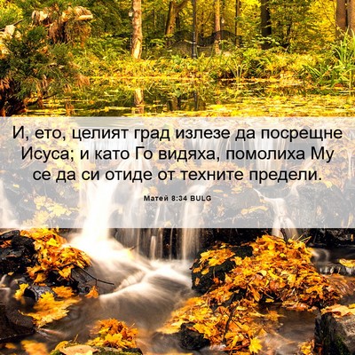 Picture 06 - Матей 8:34 BULG - И, ето, целият град излезе - Bible Verse Picture
