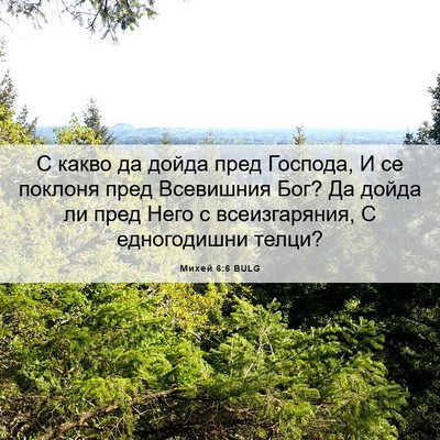 Picture 06 - Михей 6:6 BULG - С какво да дойда пред - Bible Verse Picture
