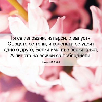 Picture 06 - Наум 2:10 BULG - Тя се изпразни, изтърси, и - Bible Verse Picture