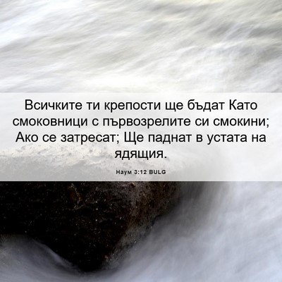 Picture 06 - Наум 3:12 BULG - Всичките ти крепости ще - Bible Verse Picture