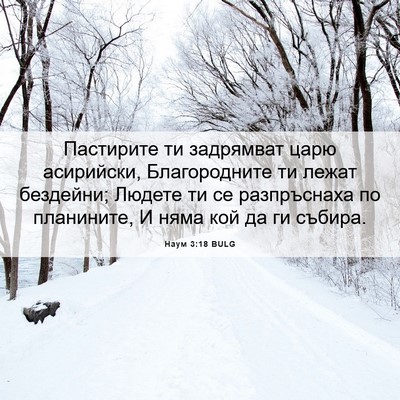 Picture 06 - Наум 3:18 BULG - Пастирите ти задрямват - Bible Verse Picture