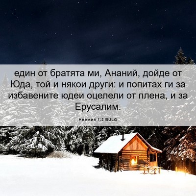 Picture 06 - Неемия 1:2 BULG - един от братята ми, Ананий, - Bible Verse Picture