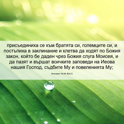 Picture 06 - Неемия 10:29 BULG - присъединиха се към - Bible Verse Picture
