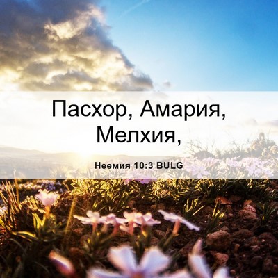 Picture 06 - Неемия 10:3 BULG - Пасхор, Амария, - Bible Verse Picture