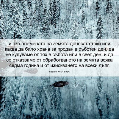 Picture 06 - Неемия 10:31 BULG - и ако племената на земята - Bible Verse Picture