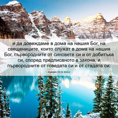 Picture 06 - Неемия 10:36 BULG - и да довеждаме в дома на - Bible Verse Picture