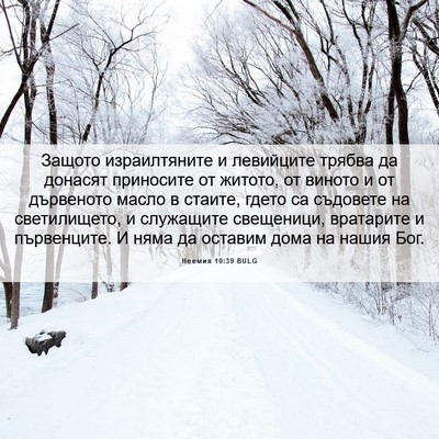 Picture 06 - Неемия 10:39 BULG - Защото израилтяните и - Bible Verse Picture