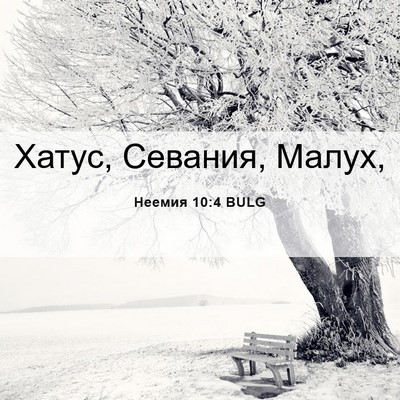 Picture 06 - Неемия 10:4 BULG - Хатус, Севания, - Bible Verse Picture